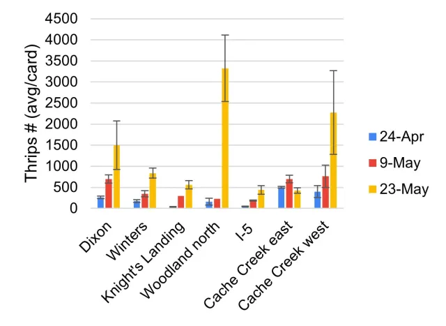 yellow sticky cards 20250605