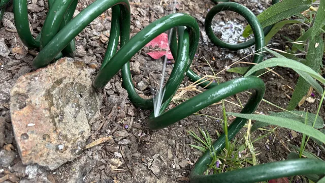 A garden hose with a hole in the middle of it and water is spraying out of the hole