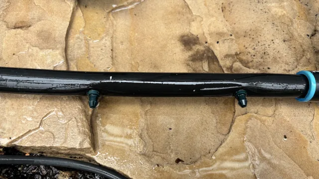 Drip irrigation tube with goof plugs inserted into it.