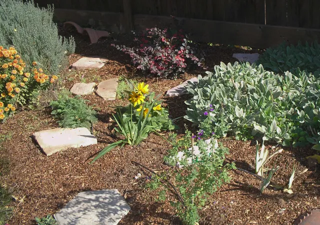 Drip lines and mulch conserve water in the ornamental garden. Laura Lukes