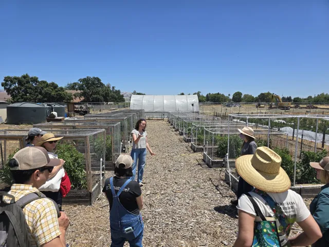 people near raised beds