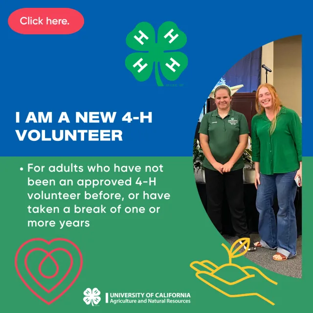 Click here for new adult volunteer enrollment information.