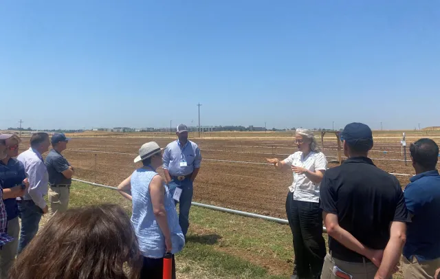 People stand on edge of a field of soil