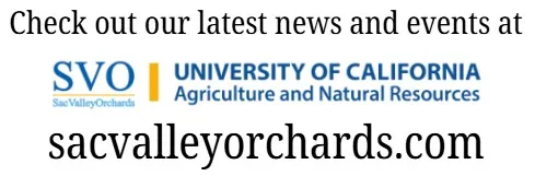 Sacvalleyorchards