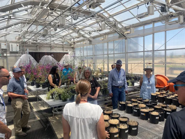 People surrounded by flowers and other plants in a greenhouse