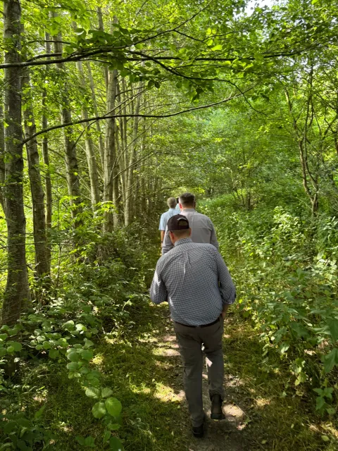 People walking single file through green shrubs and trees