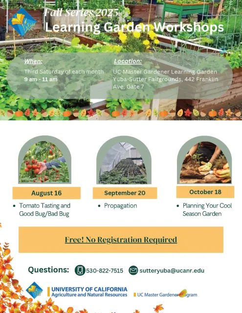 MG Fall LG Series 2025