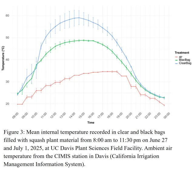 temperature in plastic bags in tomato field