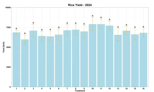 rough rice yields 2024 for watergrass trials