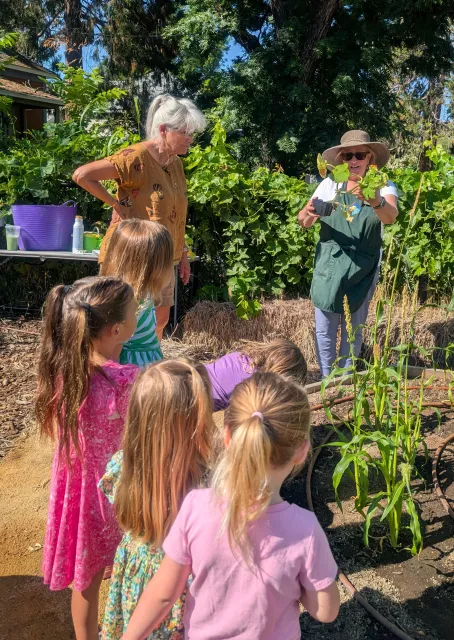 Garden Bed planted with the Three Sisters (beans, corn, and squash). Laura Lukes