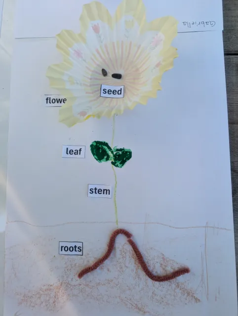 Garden art! The parts of a flowering plant, made by a student at the Master Gardeners' Living Lab camp session. Laura Lukes