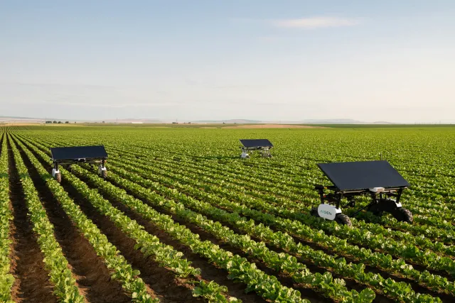 Solar-powered robots providing chemical-free autonomous weed control