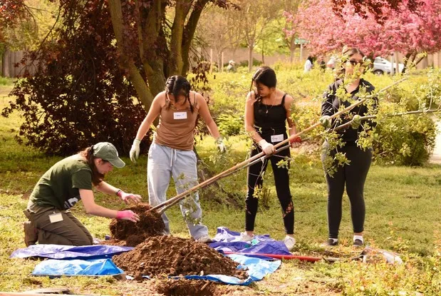 Photo of Tree Davis volunteers during a community tree planting event