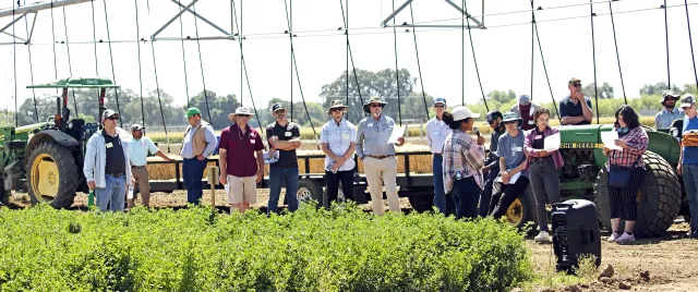Small grain field day