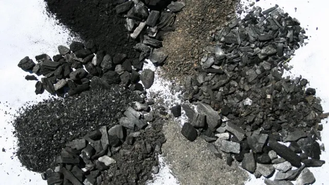 various types of biochar