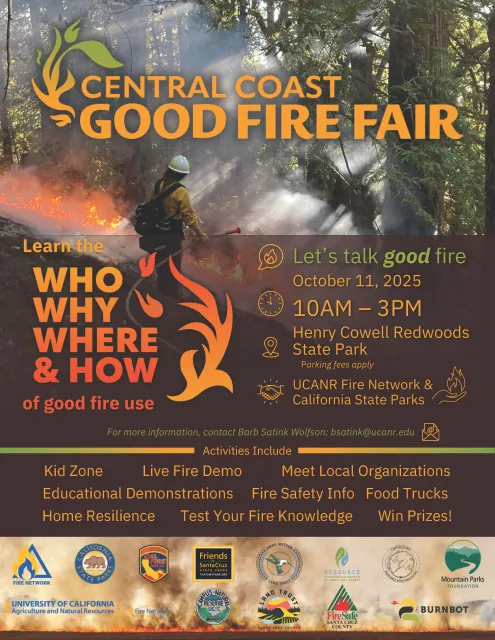 a fire fighter in the forest among hotspots