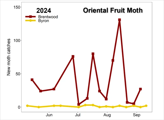 Graph OFM by site 2024