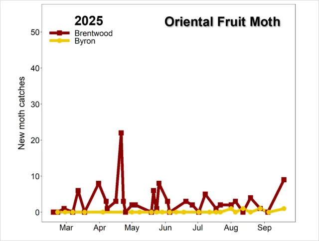 Graph OFM 2025 by site