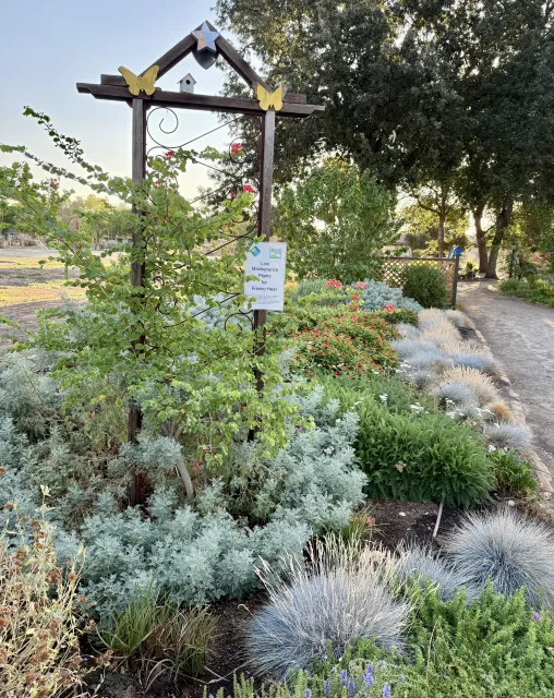 Heat-tolerant plants