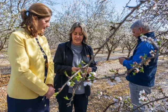 Two women and a man examine blossoms on almond trees