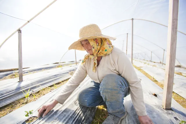 Farmer tends to her crops in a hoop house