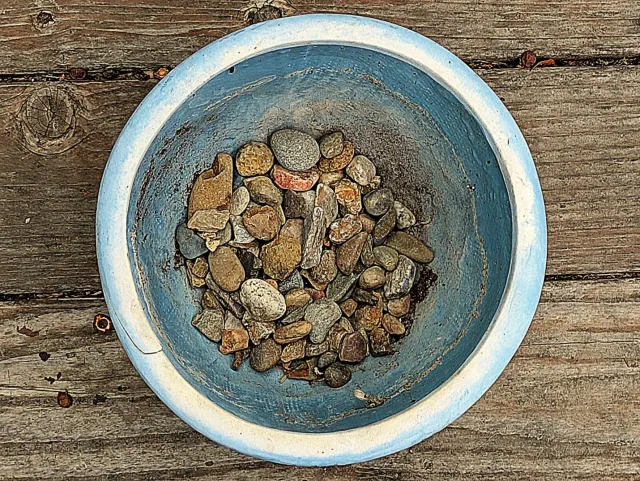 Small rocks at bottom of plant container