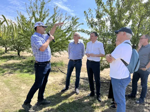 Standing in almond orchard, Flo speaks to Catalan guests