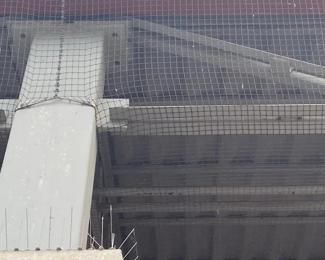 Netting draped under an outdoor structure to exclude birds from nesting.