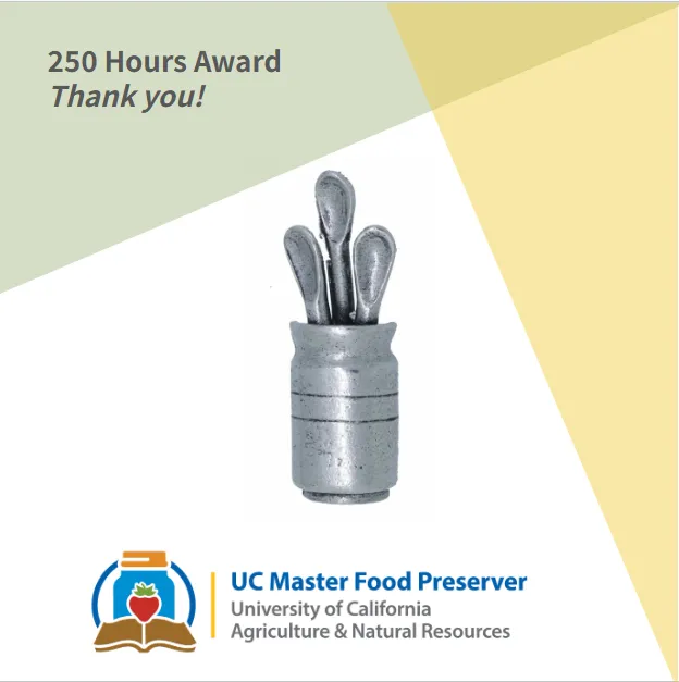 250 Hours Award- pewter spoons in jar pin.