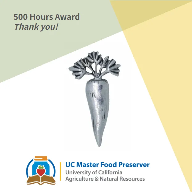 500 Hours Award- pewter carrot pin.