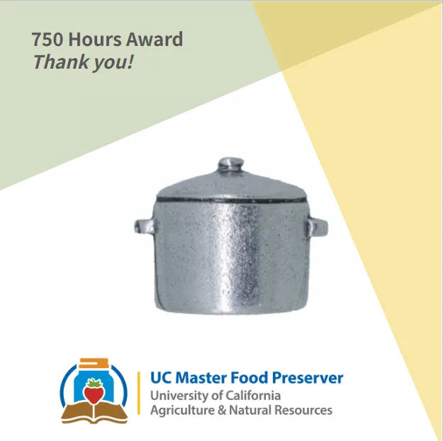 750 Hours Award- pewter stock pot pin.