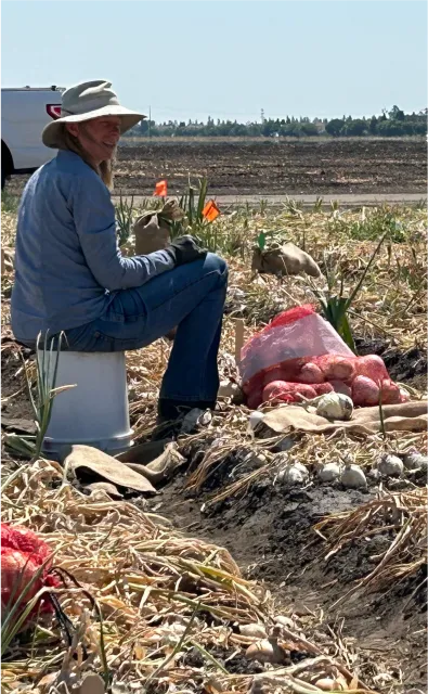 A person sits on an overturned bucket in a crop field