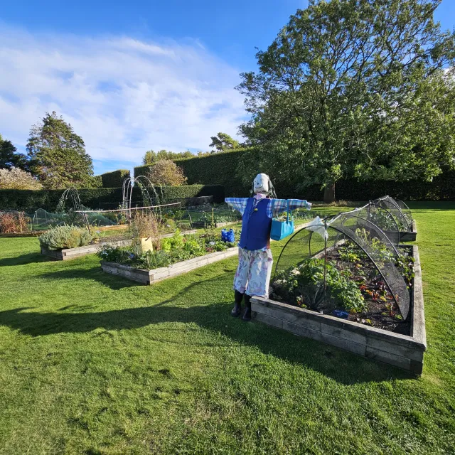 A garden set up for edible plants. 