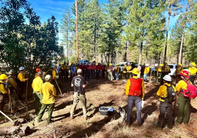 FTREX participants gather in a circle under the conifer trees