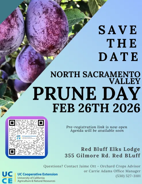 2026 Prune Day - Save the Date