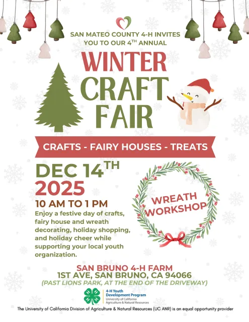 SM/SF 4-H Craft Fair Flyer