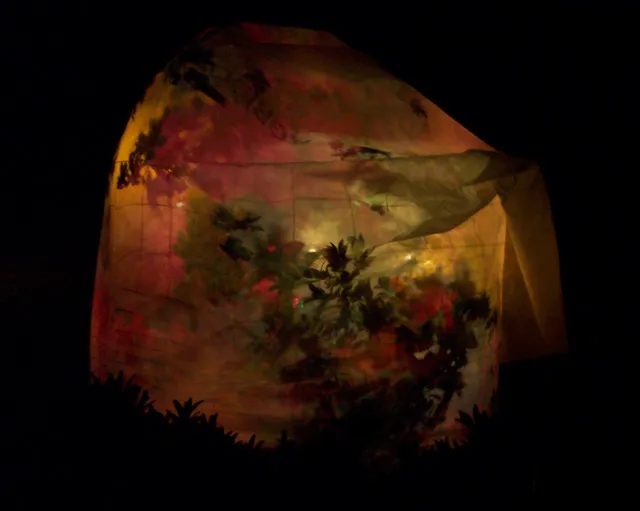 Frost blanketed tree