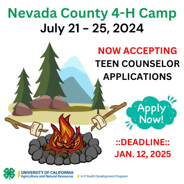 Teen Counselor Applications