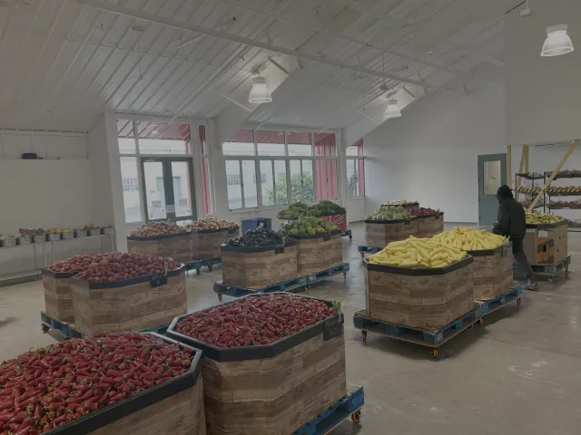 Large bins of fresh produce at a food bank