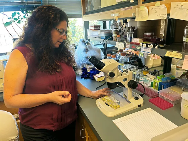 A woman in a scientific lab puts something onto the bottom part of a beige-colored device with a bunch of knobs and a place to look through