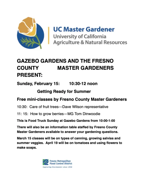 Gaazebo Gardens mini classes Feb 15Free mini-classes by Fresno County Master Gardeners 10:30: Care of fruit trees---Dave Wilson representative 11: 15: How to grow berries—MG Tom Dinwoodie