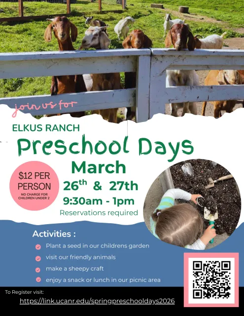 2026_Preschool Days Flyer