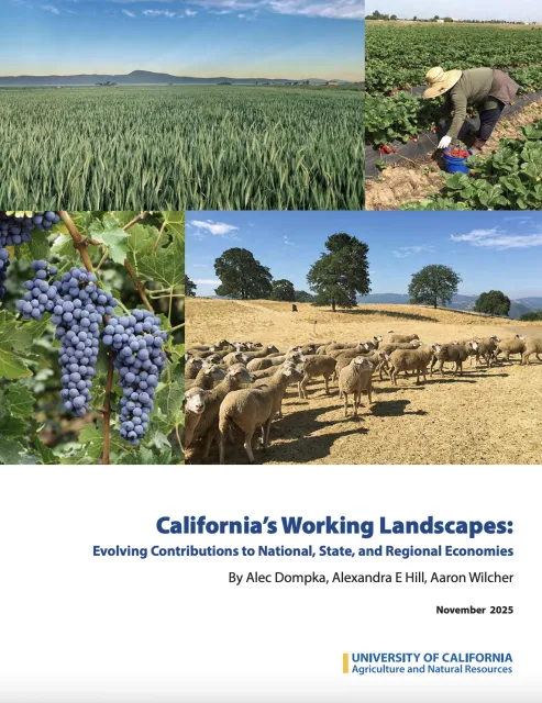 The cover of a report featuring agricultural photos