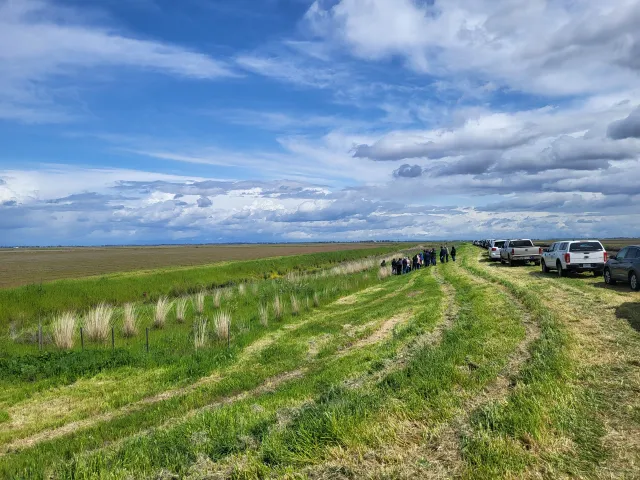 hedgerow site 2025 demonstration