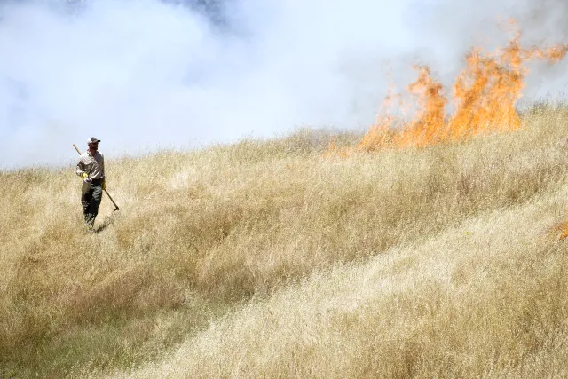 Person implementing a prescribed burn in a grassland. They are holding a drip torch and hand tool while walking away from flames.
