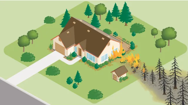 A diagram illustrating direct flame contact exposure on a structure. Flames lead from burned trees adjacent to the structure directly to the structure's walls.