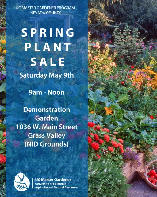 Colorful flowers in a garden with text overlay promoting a Spring Plant Sale by the UC Master Gardener Program on May 9th, 9am-Noon in Grass Valley.