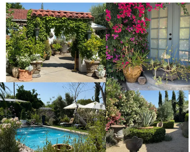 Holland villa garden