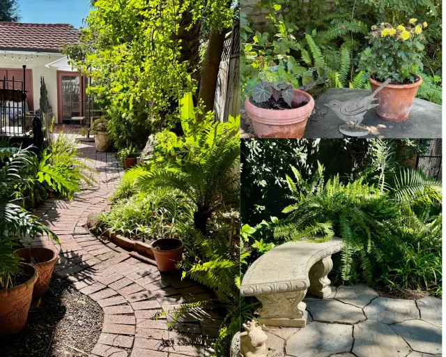pathway pots and a bench in the lyon garden