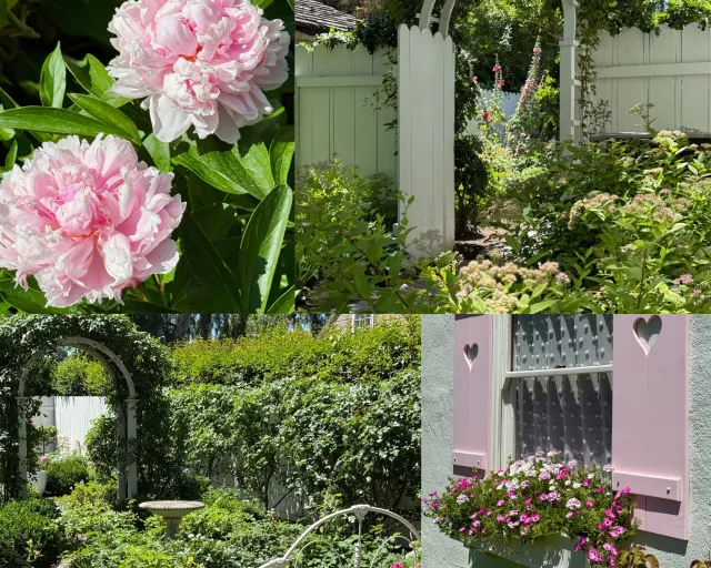 pink garden